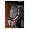  Kantar Lyrics Quotes - Harry's Horse